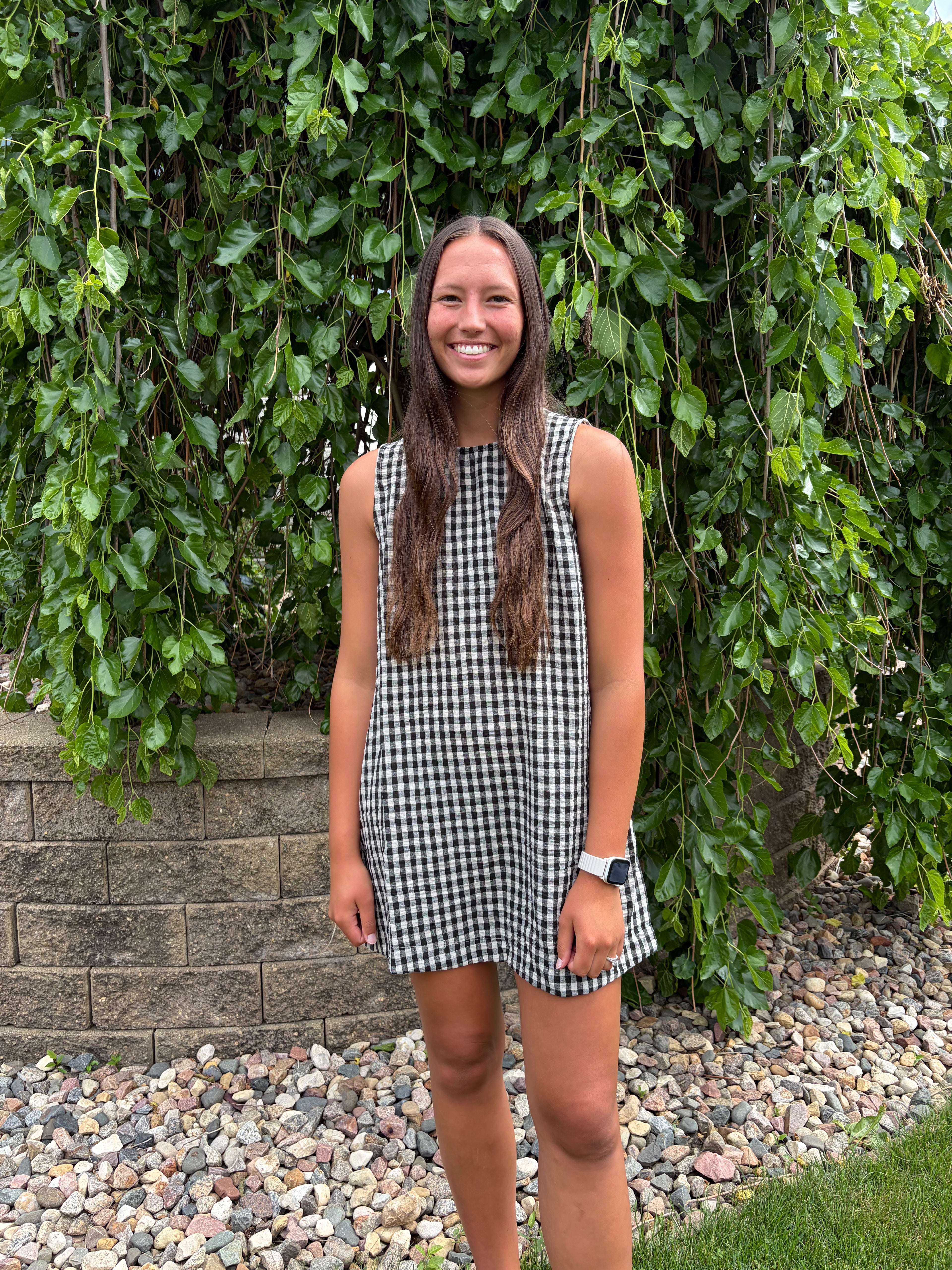 Picnic Day Gingham Dress